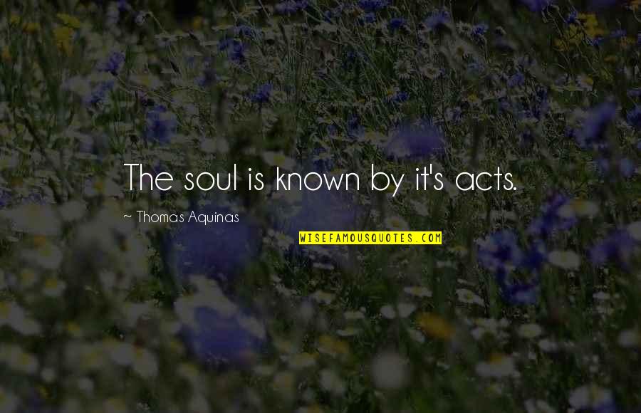 Lasciarsi Andare Quotes By Thomas Aquinas: The soul is known by it's acts.