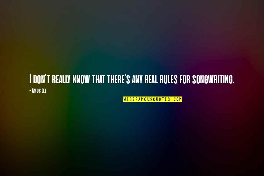 Lascombes Bourbonnais Quotes By Amos Lee: I don't really know that there's any real