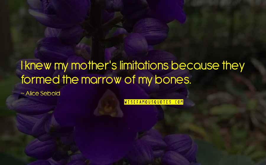 Laser Weapons Quotes By Alice Sebold: I knew my mother's limitations because they formed