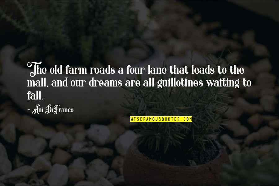 Lashes And Lip Gloss Quotes By Ani DiFranco: The old farm roads a four lane that