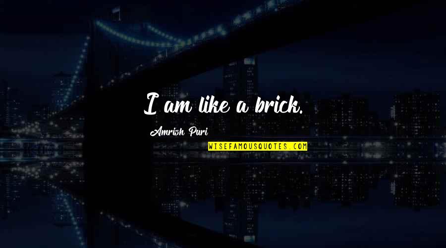 Lashette Showers Quotes By Amrish Puri: I am like a brick. Lashette Showers Quotes By Amrish Puri: I am like a brick.
