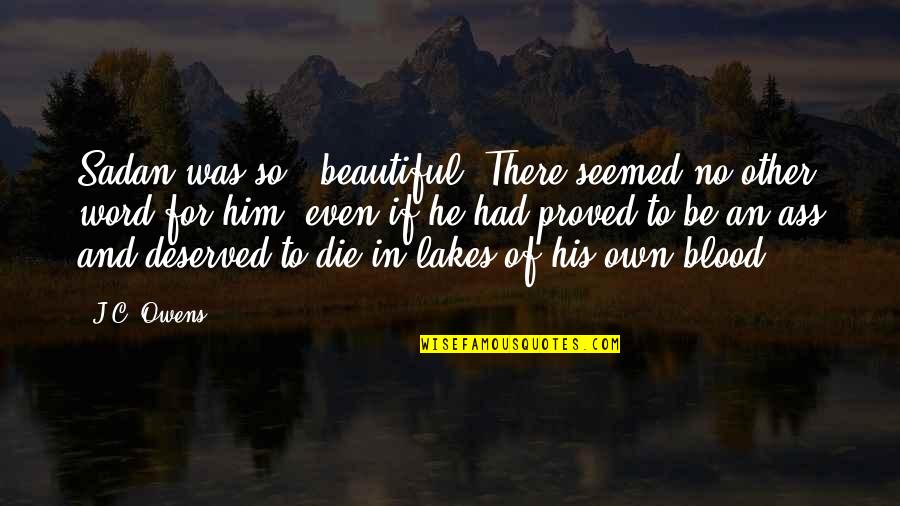 Lashkari Export Quotes By J.C. Owens: Sadan was so...beautiful. There seemed no other word