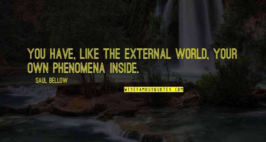 Lashonda Cross Quotes By Saul Bellow: You have, like the external world, your own