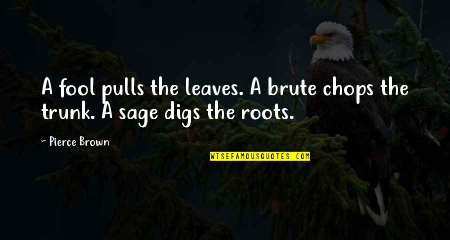 Laskin Quotes By Pierce Brown: A fool pulls the leaves. A brute chops