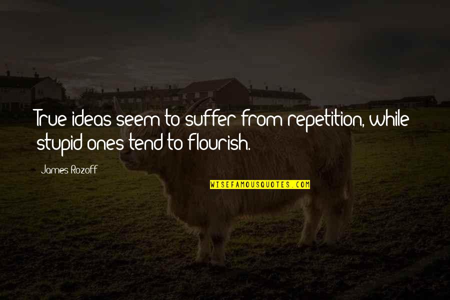 Laslas Pulso Quotes By James Rozoff: True ideas seem to suffer from repetition, while