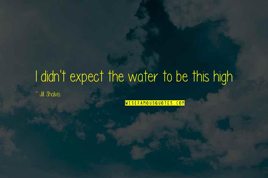 Lasonic Quotes By Jill Shalvis: I didn't expect the water to be this