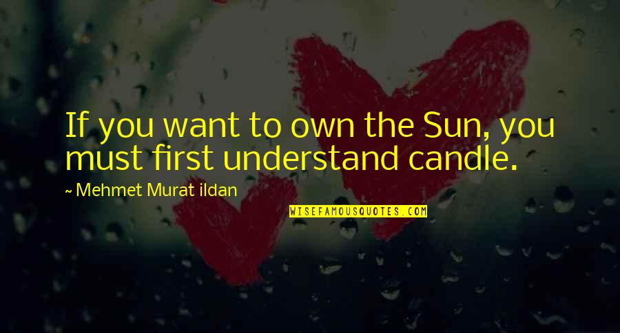 Lasonic Quotes By Mehmet Murat Ildan: If you want to own the Sun, you