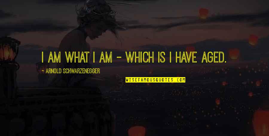 Laspina Tool Quotes By Arnold Schwarzenegger: I am what I am - which is