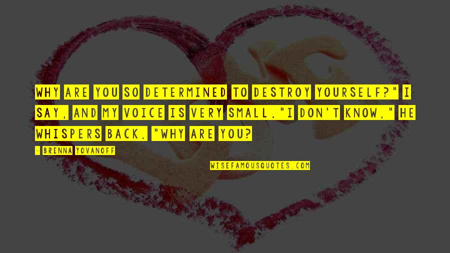 Lasso Quotes By Brenna Yovanoff: Why are you so determined to destroy yourself?" Lasso Quotes By Brenna Yovanoff: Why are you so determined to destroy yourself?"