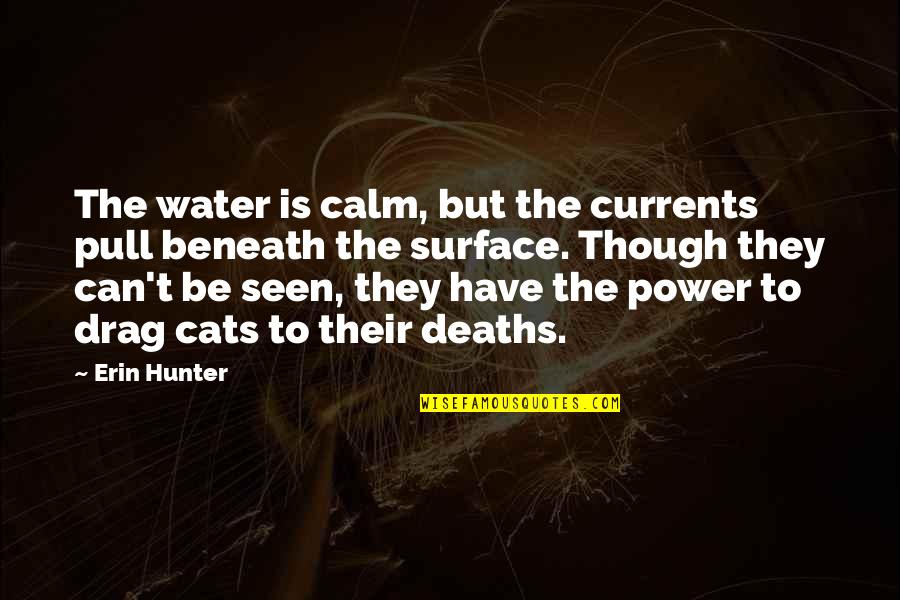 Last Hope Quotes By Erin Hunter: The water is calm, but the currents pull