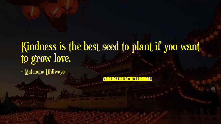 Last Hurrah Quotes By Matshona Dhliwayo: Kindness is the best seed to plant if Last Hurrah Quotes By Matshona Dhliwayo: Kindness is the best seed to plant if