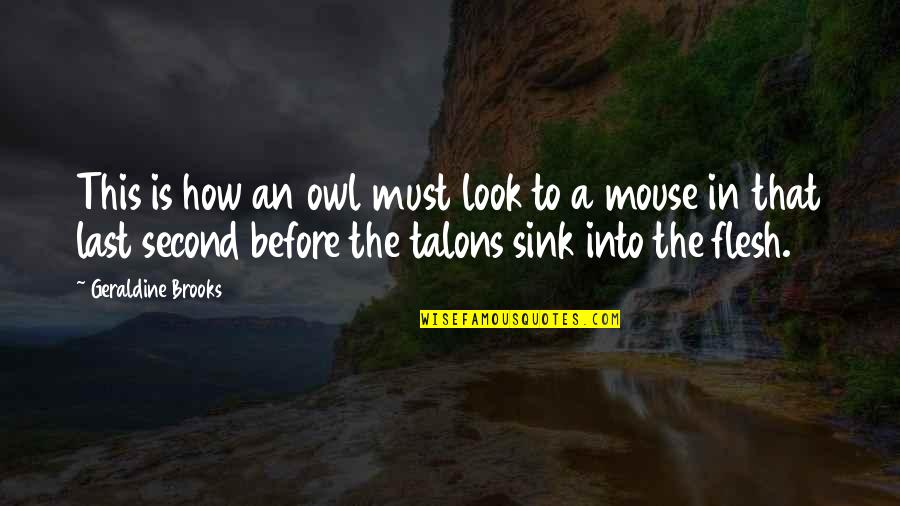 Last Look Quotes By Geraldine Brooks: This is how an owl must look to Last Look Quotes By Geraldine Brooks: This is how an owl must look to