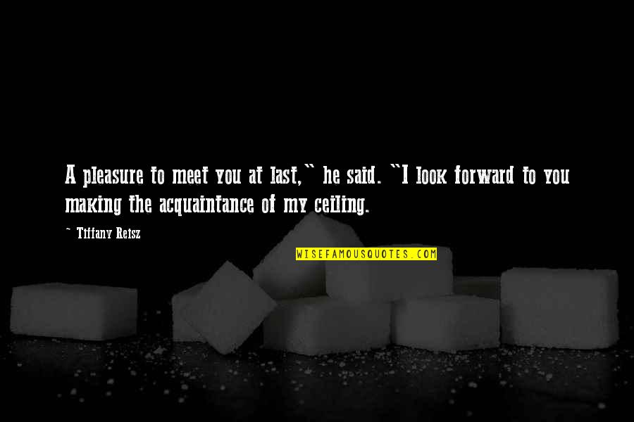 Last Meet Up Quotes By Tiffany Reisz: A pleasure to meet you at last," he Last Meet Up Quotes By Tiffany Reisz: A pleasure to meet you at last," he
