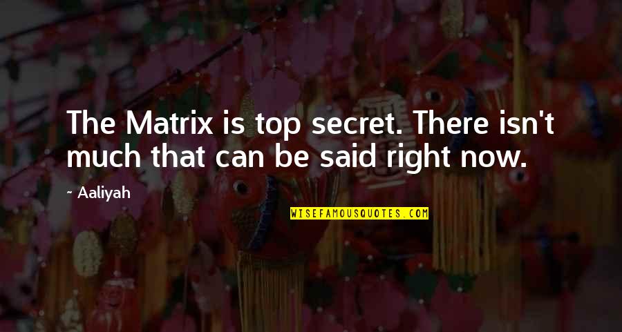 Last Minute Decision Quotes By Aaliyah: The Matrix is top secret. There isn't much