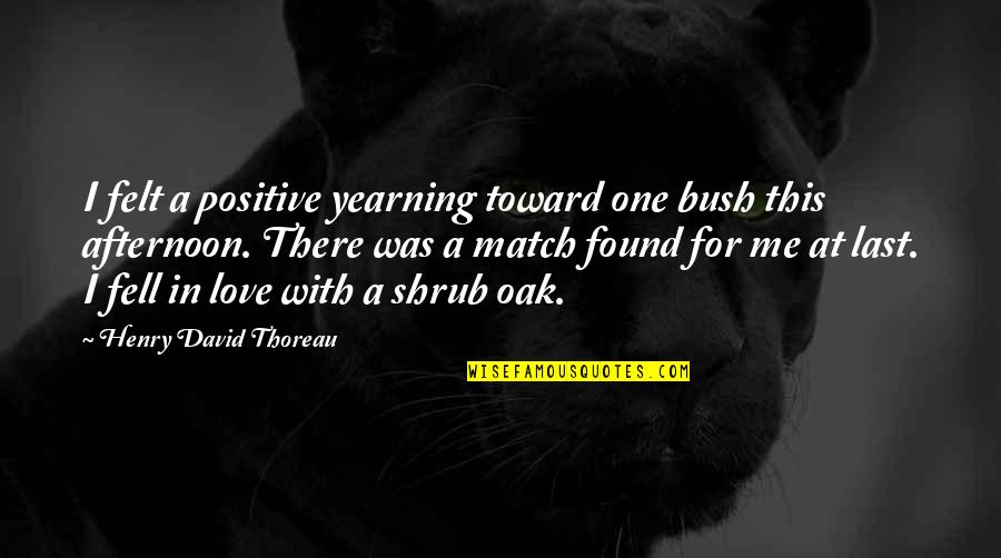 Last One Quotes By Henry David Thoreau: I felt a positive yearning toward one bush