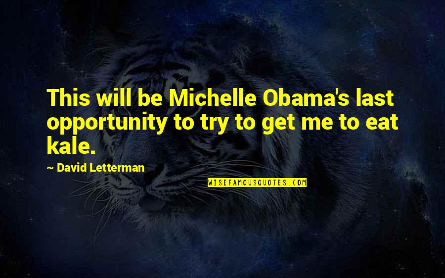 Last Try Quotes By David Letterman: This will be Michelle Obama's last opportunity to