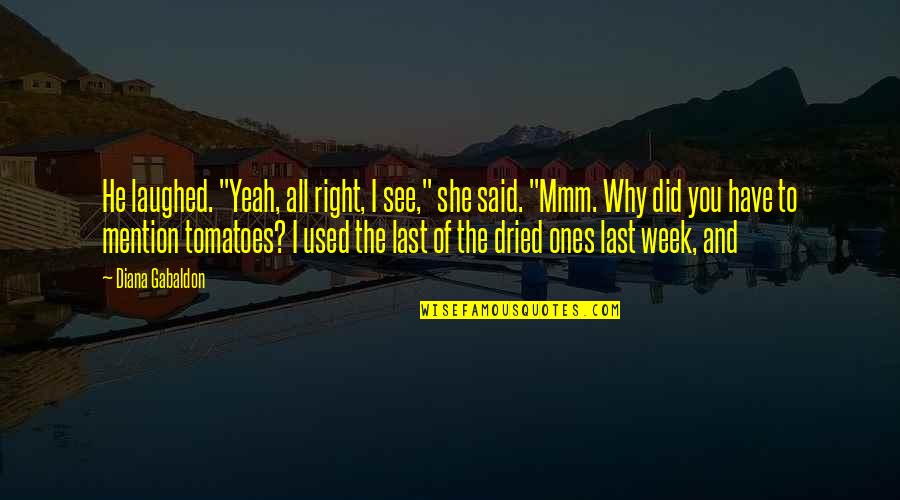Last Week Quotes By Diana Gabaldon: He laughed. "Yeah, all right, I see," she Last Week Quotes By Diana Gabaldon: He laughed. "Yeah, all right, I see," she