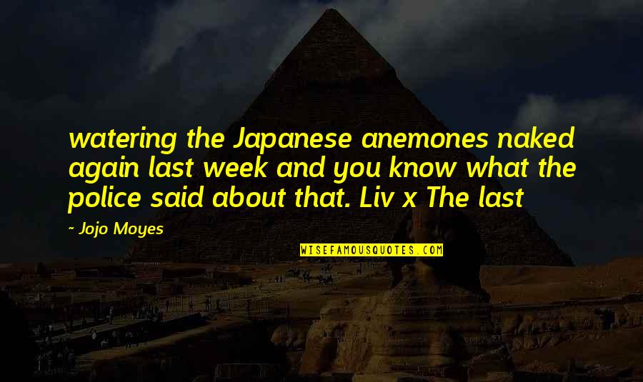 Last Week Quotes By Jojo Moyes: watering the Japanese anemones naked again last week Last Week Quotes By Jojo Moyes: watering the Japanese anemones naked again last week