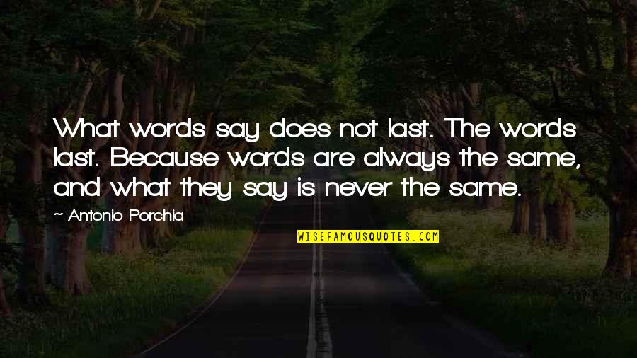 Last Words Quotes By Antonio Porchia: What words say does not last. The words