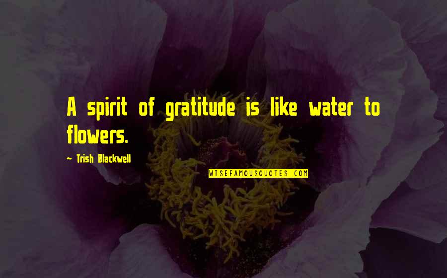 Last Year College Quotes By Trish Blackwell: A spirit of gratitude is like water to