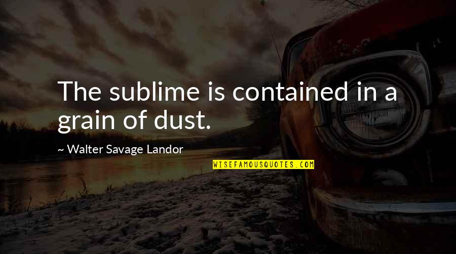 Last Year Of Primary School Quotes By Walter Savage Landor: The sublime is contained in a grain of