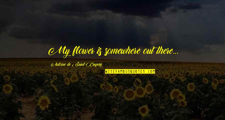 Lastly Quotes By Antoine De Saint-Exupery: My flower is somewhere out there... Lastly Quotes By Antoine De Saint-Exupery: My flower is somewhere out there...