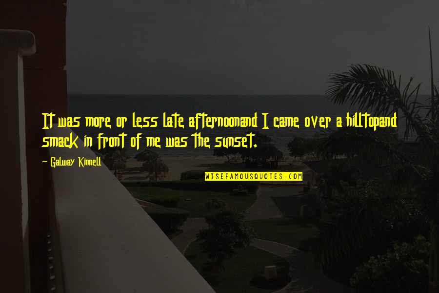 Late Afternoon Quotes By Galway Kinnell: It was more or less late afternoonand I Late Afternoon Quotes By Galway Kinnell: It was more or less late afternoonand I