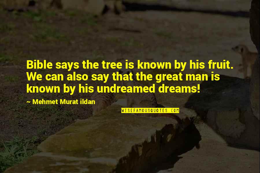 Late Reply Sms Quotes By Mehmet Murat Ildan: Bible says the tree is known by his