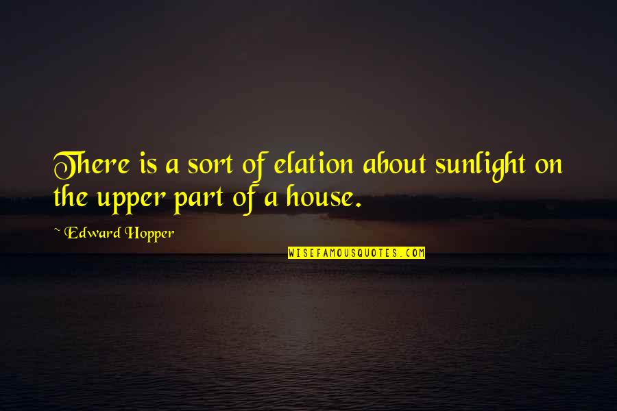 Late Texters Quotes By Edward Hopper: There is a sort of elation about sunlight