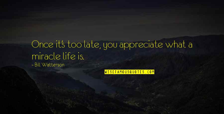 Late What Quotes By Bill Watterson: Once it's too late, you appreciate what a