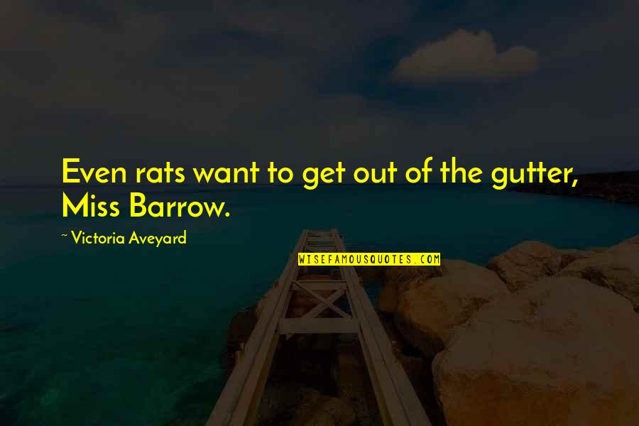 Lathery Natural Shampoo Quotes By Victoria Aveyard: Even rats want to get out of the Lathery Natural Shampoo Quotes By Victoria Aveyard: Even rats want to get out of the