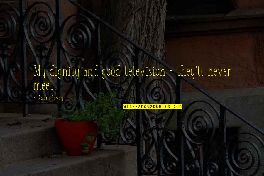 Latoaria Quotes By Adam Savage: My dignity and good television - they'll never Latoaria Quotes By Adam Savage: My dignity and good television - they'll never