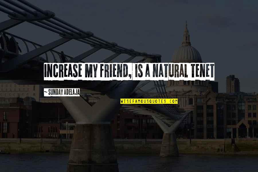 Lats Exercises Quotes By Sunday Adelaja: Increase my friend, is a natural tenet