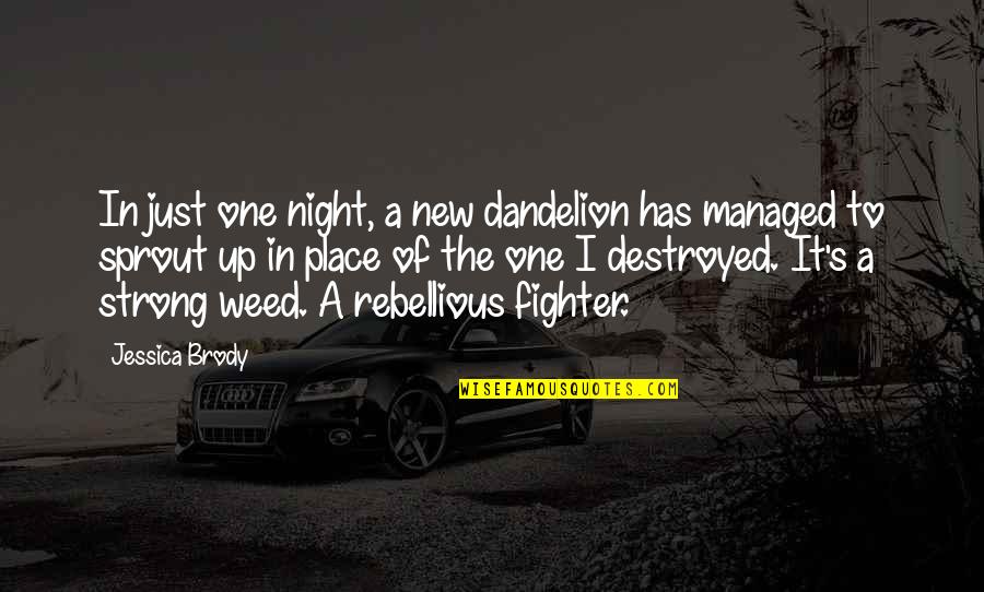 Latschen Quotes By Jessica Brody: In just one night, a new dandelion has
