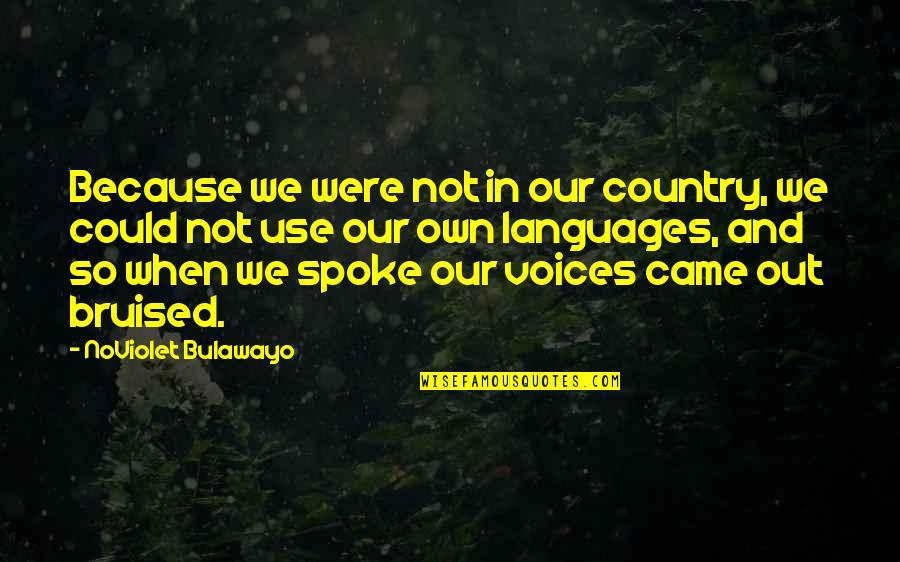 Latsis Foundation Quotes By NoViolet Bulawayo: Because we were not in our country, we Latsis Foundation Quotes By NoViolet Bulawayo: Because we were not in our country, we