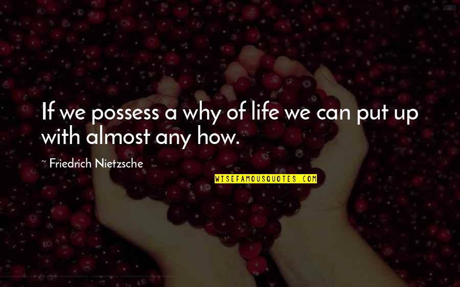 Latterly Quotes By Friedrich Nietzsche: If we possess a why of life we