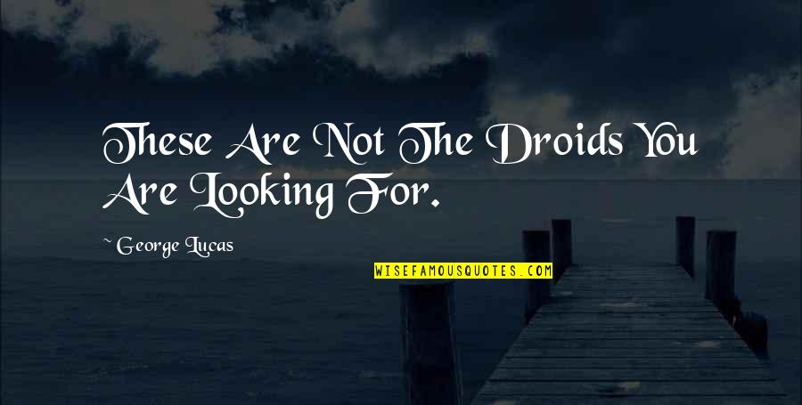 Laubscher Pools Quotes By George Lucas: These Are Not The Droids You Are Looking