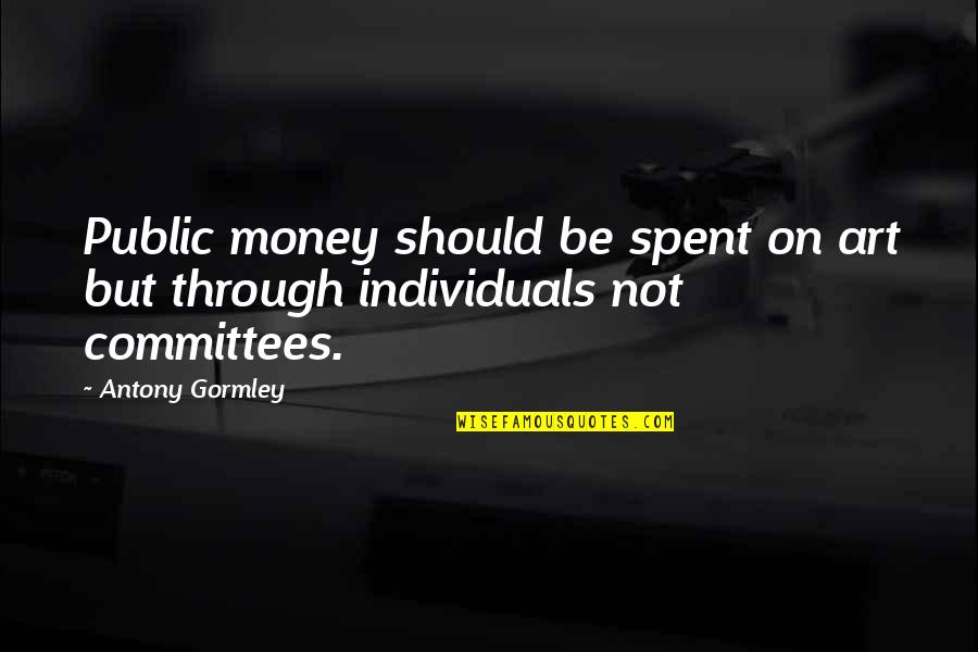 Lauderback Gap Quotes By Antony Gormley: Public money should be spent on art but