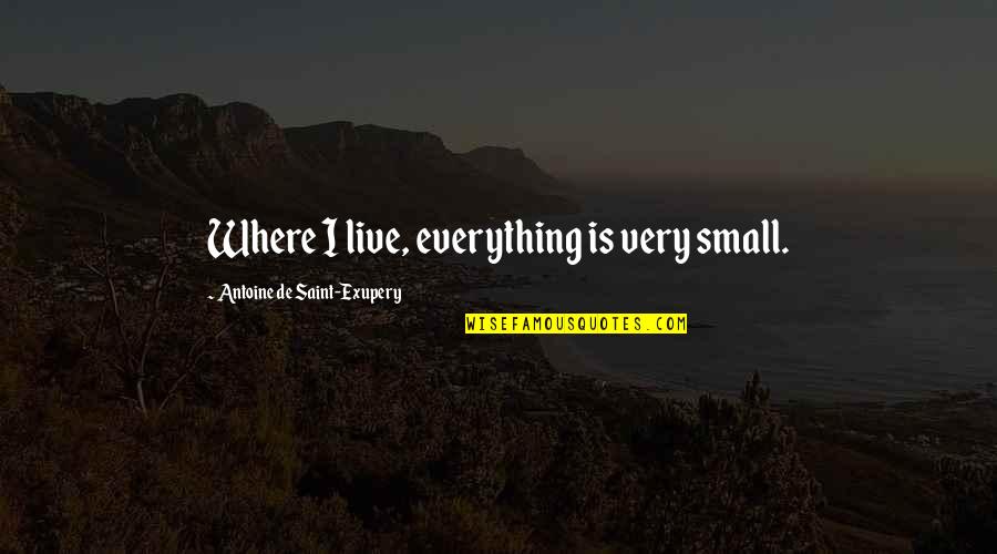 Lauermann Law Quotes By Antoine De Saint-Exupery: Where I live, everything is very small.