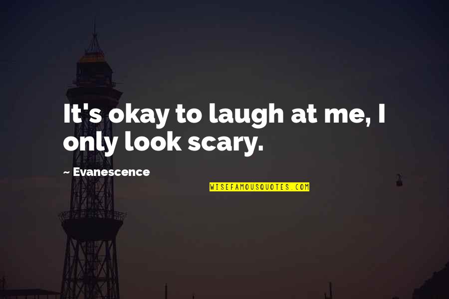 Laugh At Me Quotes By Evanescence: It's okay to laugh at me, I only