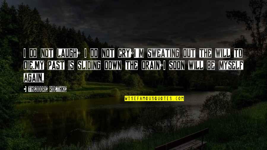 Laugh Not Cry Quotes By Theodore Roethke: I do not laugh; I do not cry;I'm