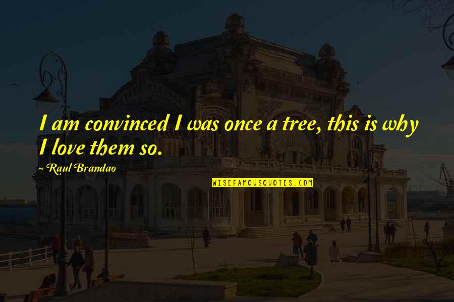 Laughfest Tickets Quotes By Raul Brandao: I am convinced I was once a tree,