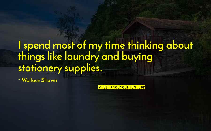 Laundry Quotes By Wallace Shawn: I spend most of my time thinking about