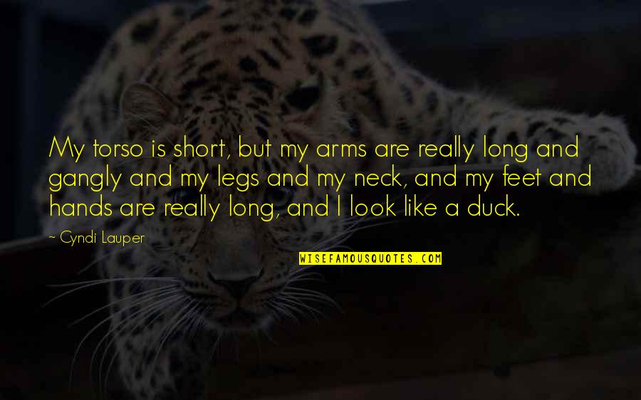 Lauper Quotes By Cyndi Lauper: My torso is short, but my arms are Lauper Quotes By Cyndi Lauper: My torso is short, but my arms are