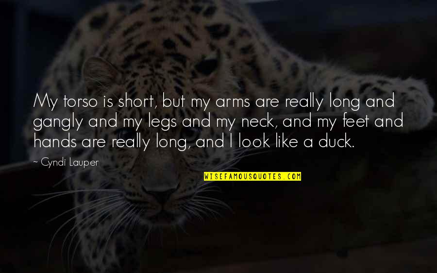 Lauper's Quotes By Cyndi Lauper: My torso is short, but my arms are Lauper's Quotes By Cyndi Lauper: My torso is short, but my arms are