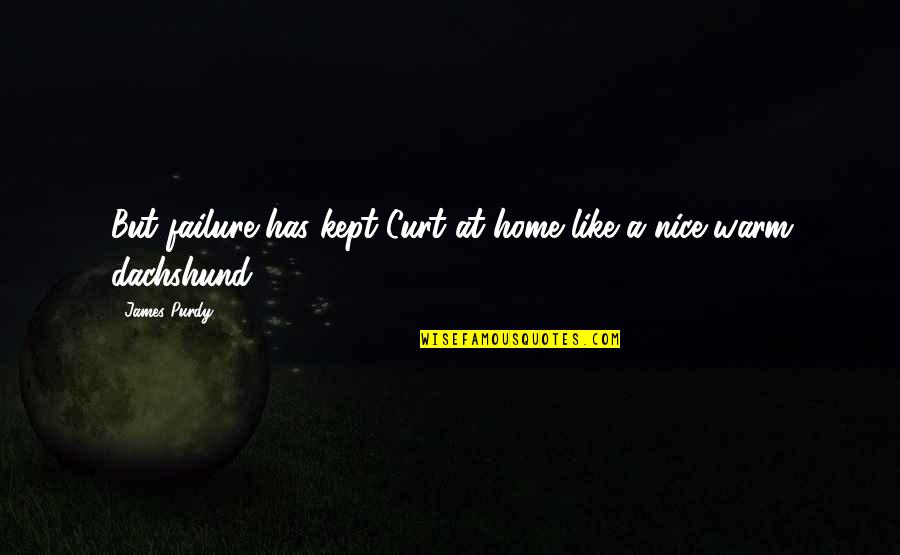Laura Callaghan Quotes By James Purdy: But failure has kept Curt at home like