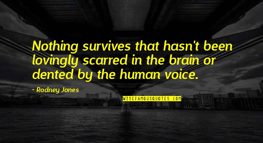 Laura Dockrill Quotes By Rodney Jones: Nothing survives that hasn't been lovingly scarred in Laura Dockrill Quotes By Rodney Jones: Nothing survives that hasn't been lovingly scarred in