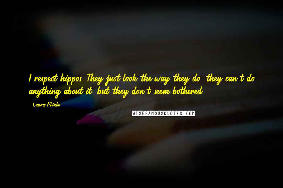 Laura Mvula quotes: I respect hippos. They just look the way they do; they can't do anything about it, but they don't seem bothered.