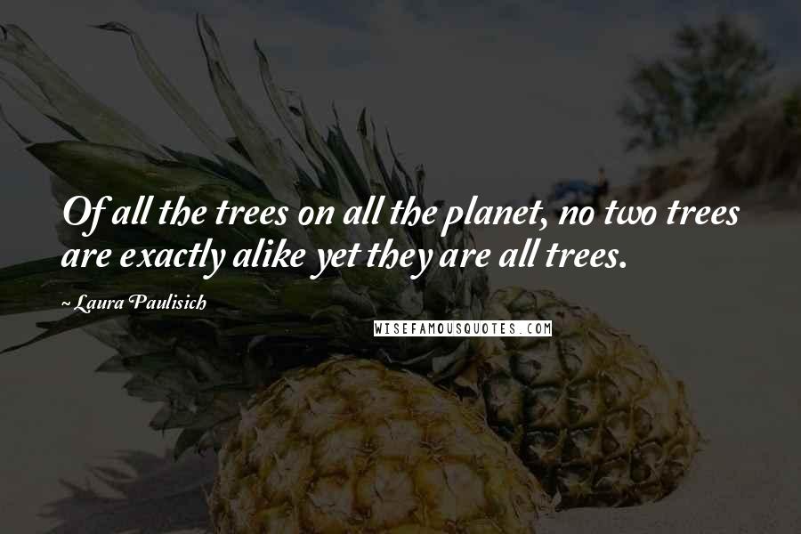 Laura Paulisich quotes: Of all the trees on all the planet, no two trees are exactly alike yet they are all trees.