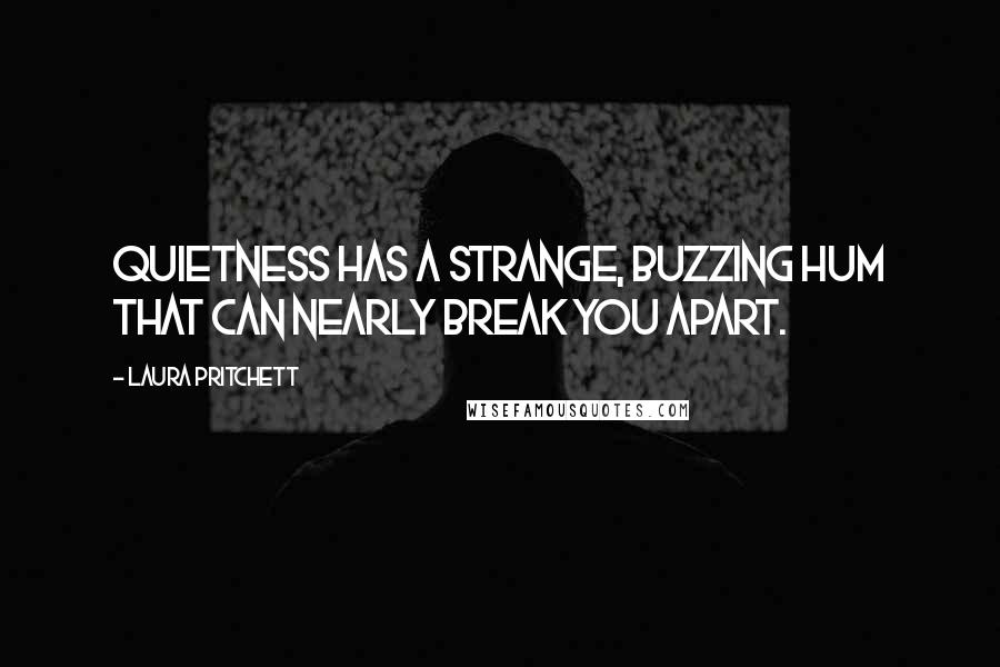 Laura Pritchett quotes: quietness has a strange, buzzing hum that can nearly break you apart.